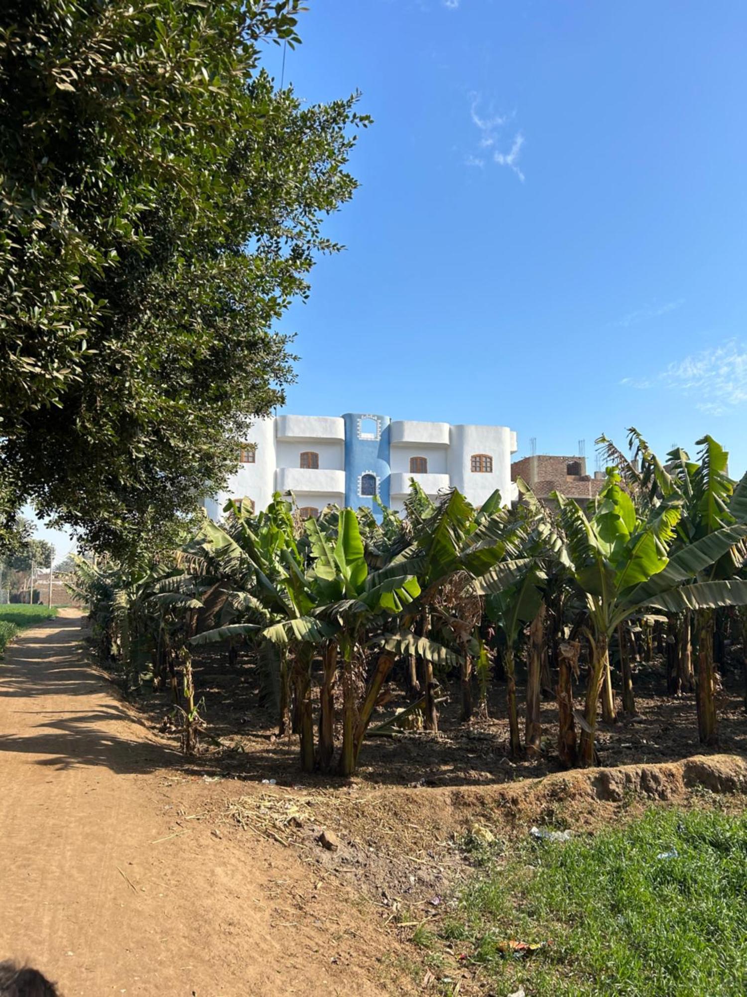 Lemon Tree Apartments Luxor Lel Agalta Eksteriør bilde